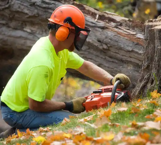 tree services New Market